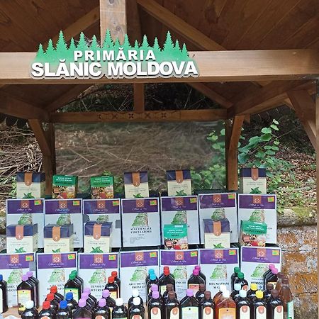 Montana Slanic Daire Dış mekan fotoğraf