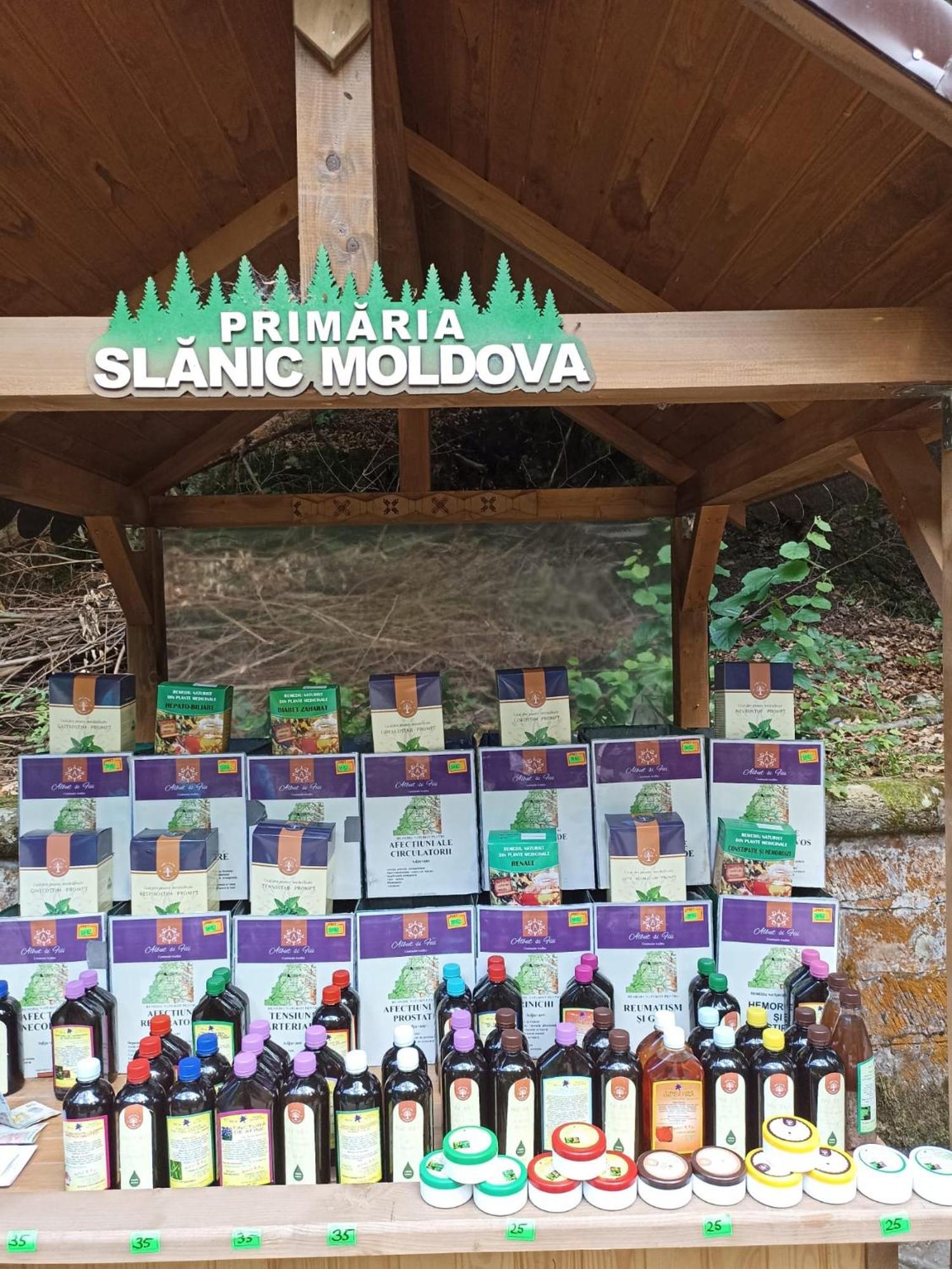 Montana Slanic Daire Dış mekan fotoğraf