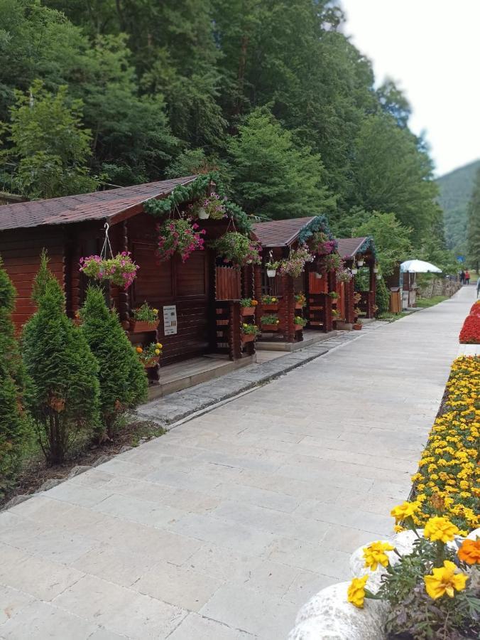 Montana Slanic Daire Dış mekan fotoğraf