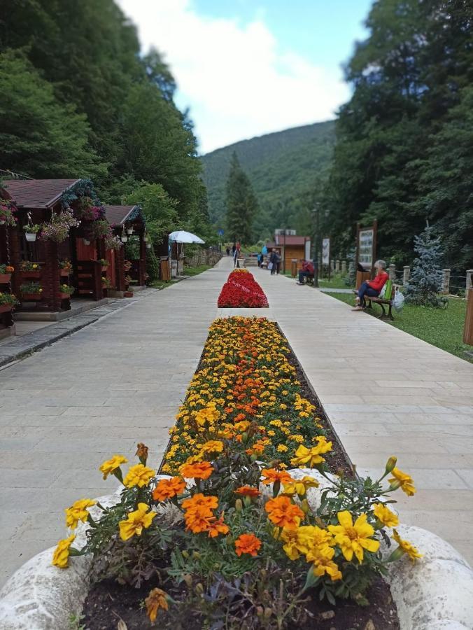 Montana Slanic Daire Dış mekan fotoğraf
