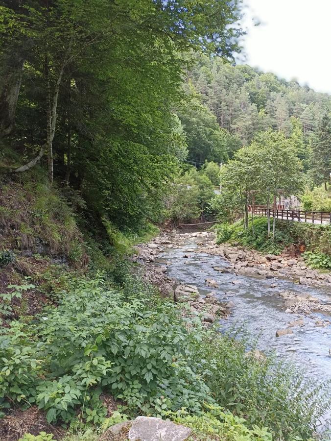Montana Slanic Daire Dış mekan fotoğraf