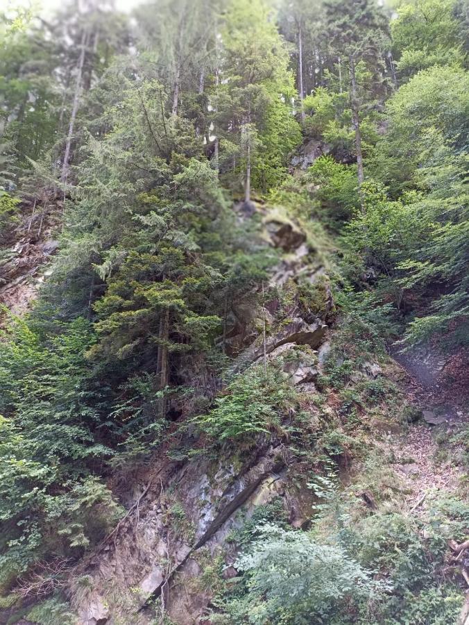 Montana Slanic Daire Dış mekan fotoğraf